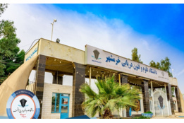 البوم۱